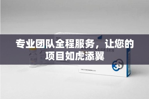 新乡专业团队全程服务，让您的项目如虎添翼