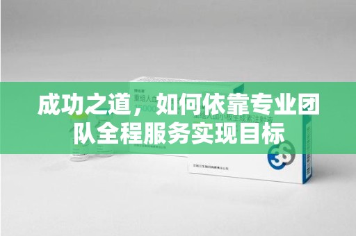 新乡成功之道，如何依靠专业团队全程服务实现目标