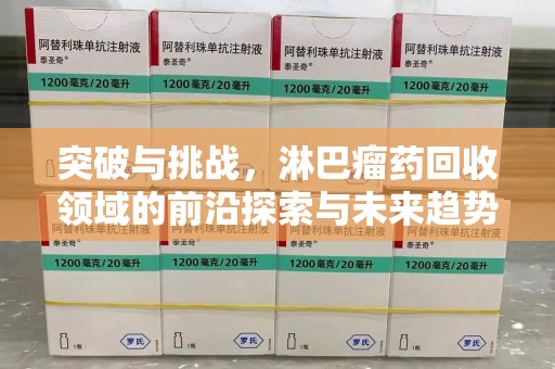 新乡突破与挑战，淋巴瘤药回收领域的前沿探索与未来趋势