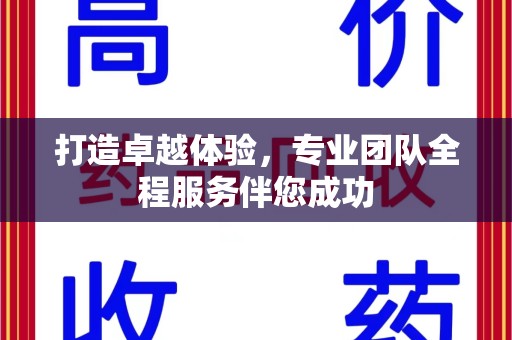 新乡打造卓越体验，专业团队全程服务伴您成功