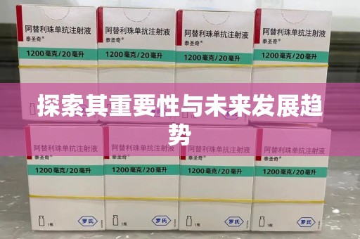新乡探索其重要性与未来发展趋势